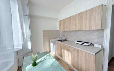 Pronájem bytu 1+1 36 m² Františka Halase, Most